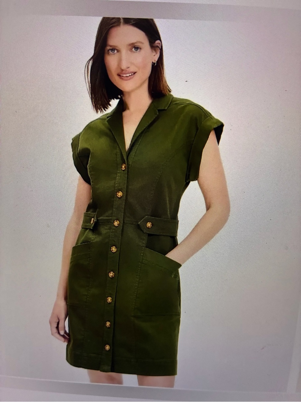 LOFT Olive Green Dress